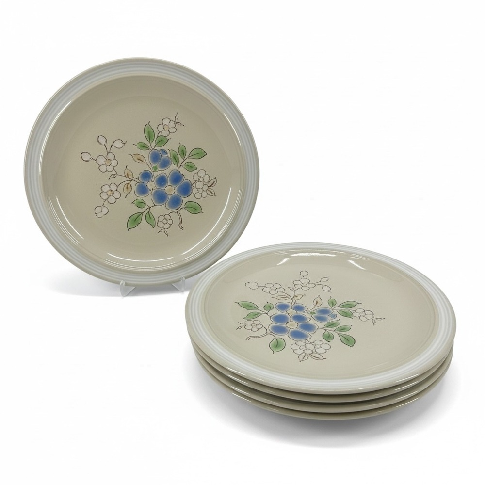 International Canyon Collection Stoneware Dinner Plates Tumble Weed Set 5 Japan